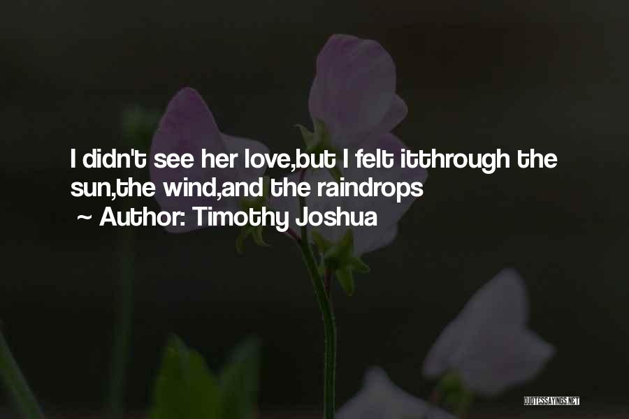 Timothy Joshua Quotes: I Didn't See Her Love,but I Felt Itthrough The Sun,the Wind,and The Raindrops