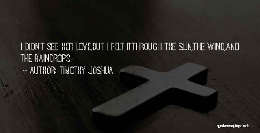 Timothy Joshua Quotes: I Didn't See Her Love,but I Felt Itthrough The Sun,the Wind,and The Raindrops