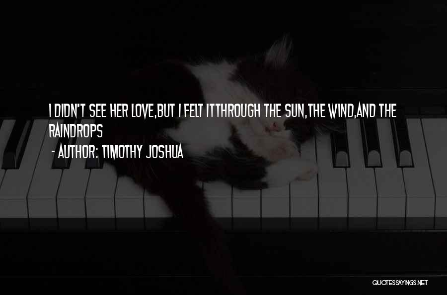 Timothy Joshua Quotes: I Didn't See Her Love,but I Felt Itthrough The Sun,the Wind,and The Raindrops