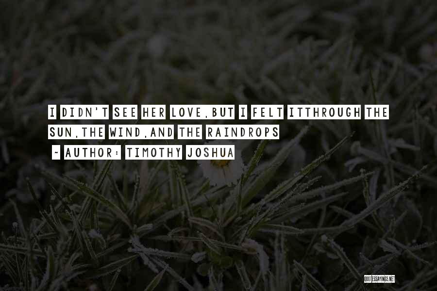 Timothy Joshua Quotes: I Didn't See Her Love,but I Felt Itthrough The Sun,the Wind,and The Raindrops