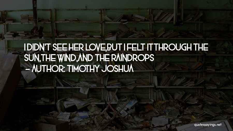 Timothy Joshua Quotes: I Didn't See Her Love,but I Felt Itthrough The Sun,the Wind,and The Raindrops