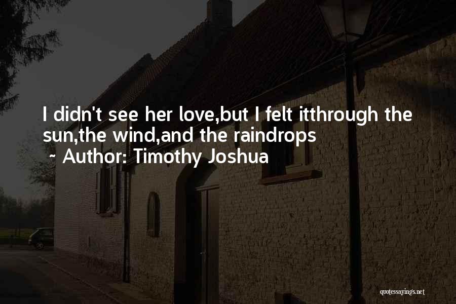 Timothy Joshua Quotes: I Didn't See Her Love,but I Felt Itthrough The Sun,the Wind,and The Raindrops