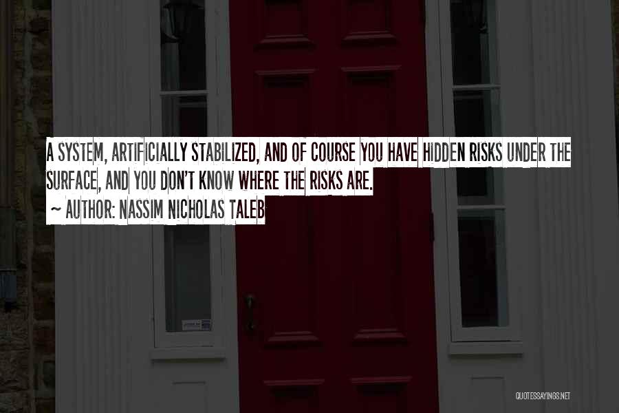 Nassim Nicholas Taleb Quotes: A System, Artificially Stabilized, And Of Course You Have Hidden Risks Under The Surface, And You Don't Know Where The