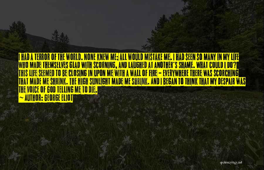 George Eliot Quotes: I Had A Terror Of The World. None Knew Me; All Would Mistake Me. I Had Seen So Many In