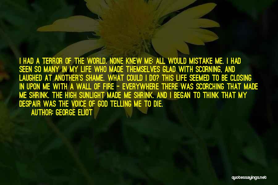 George Eliot Quotes: I Had A Terror Of The World. None Knew Me; All Would Mistake Me. I Had Seen So Many In