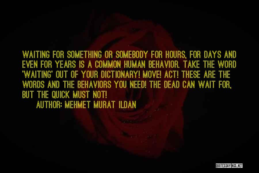 Mehmet Murat Ildan Quotes: Waiting For Something Or Somebody For Hours, For Days And Even For Years Is A Common Human Behavior. Take The