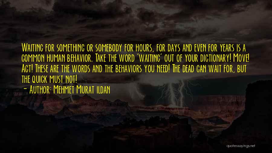 Mehmet Murat Ildan Quotes: Waiting For Something Or Somebody For Hours, For Days And Even For Years Is A Common Human Behavior. Take The