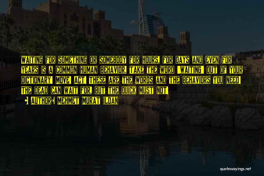 Mehmet Murat Ildan Quotes: Waiting For Something Or Somebody For Hours, For Days And Even For Years Is A Common Human Behavior. Take The