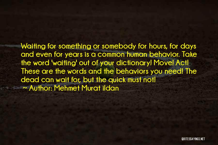 Mehmet Murat Ildan Quotes: Waiting For Something Or Somebody For Hours, For Days And Even For Years Is A Common Human Behavior. Take The