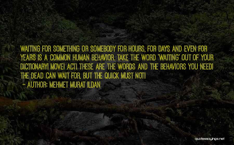 Mehmet Murat Ildan Quotes: Waiting For Something Or Somebody For Hours, For Days And Even For Years Is A Common Human Behavior. Take The