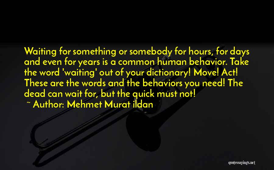 Mehmet Murat Ildan Quotes: Waiting For Something Or Somebody For Hours, For Days And Even For Years Is A Common Human Behavior. Take The