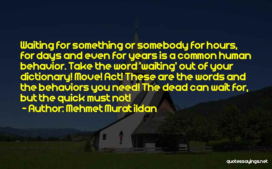 Mehmet Murat Ildan Quotes: Waiting For Something Or Somebody For Hours, For Days And Even For Years Is A Common Human Behavior. Take The