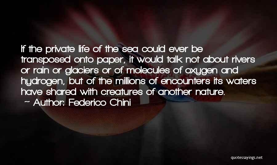 Federico Chini Quotes: If The Private Life Of The Sea Could Ever Be Transposed Onto Paper, It Would Talk Not About Rivers Or