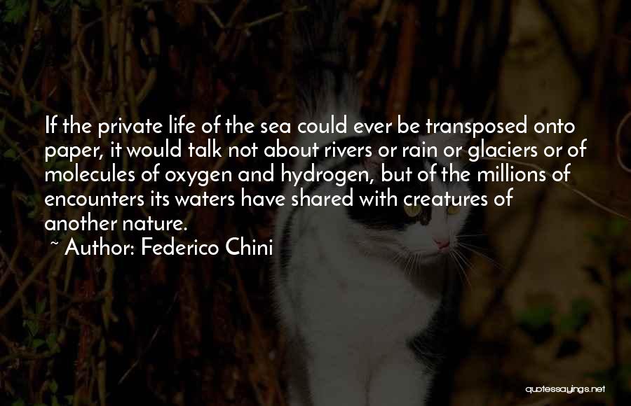 Federico Chini Quotes: If The Private Life Of The Sea Could Ever Be Transposed Onto Paper, It Would Talk Not About Rivers Or