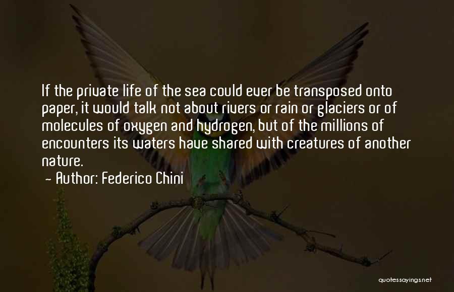 Federico Chini Quotes: If The Private Life Of The Sea Could Ever Be Transposed Onto Paper, It Would Talk Not About Rivers Or