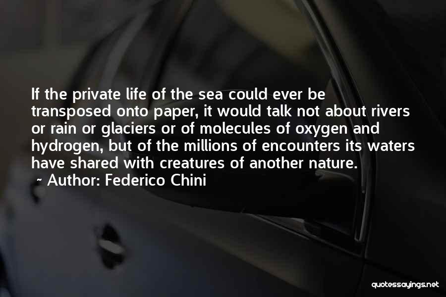 Federico Chini Quotes: If The Private Life Of The Sea Could Ever Be Transposed Onto Paper, It Would Talk Not About Rivers Or