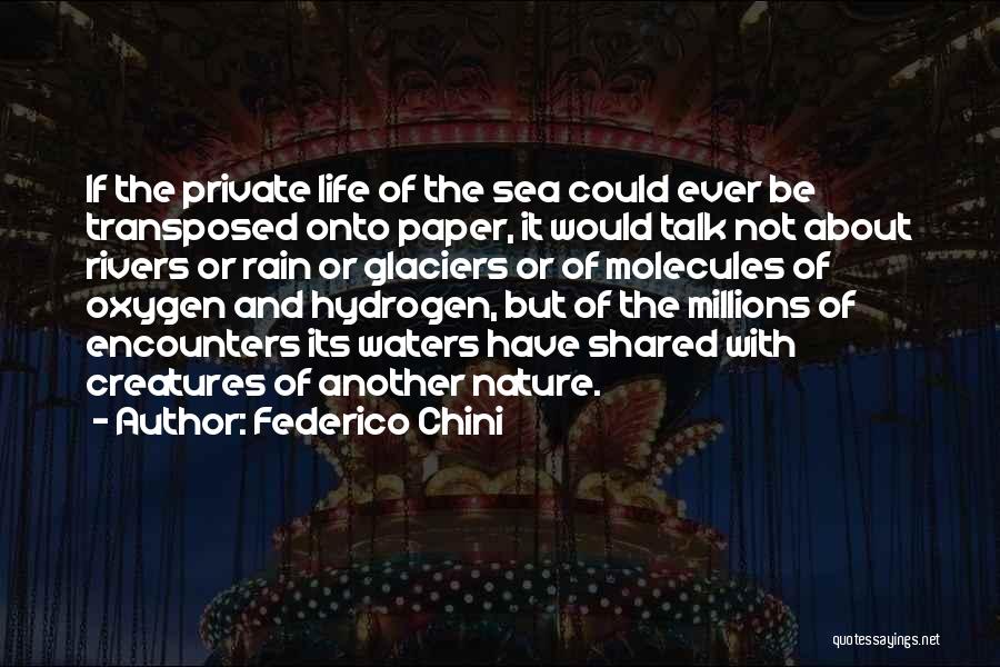Federico Chini Quotes: If The Private Life Of The Sea Could Ever Be Transposed Onto Paper, It Would Talk Not About Rivers Or