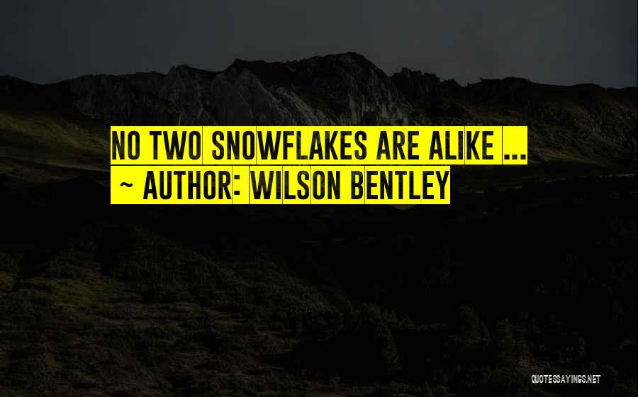 Wilson Bentley Quotes: No Two Snowflakes Are Alike ...