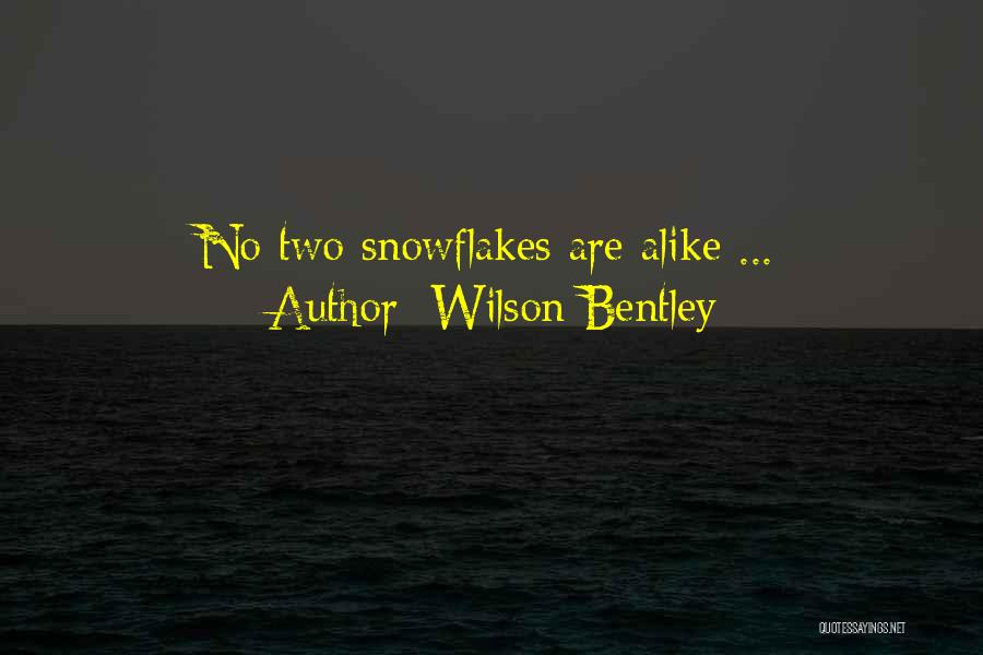 Wilson Bentley Quotes: No Two Snowflakes Are Alike ...
