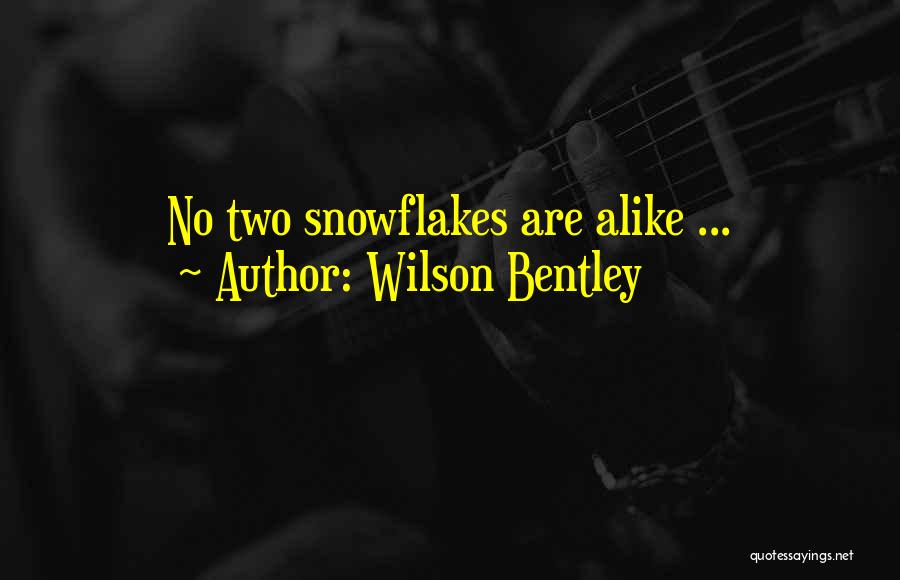 Wilson Bentley Quotes: No Two Snowflakes Are Alike ...