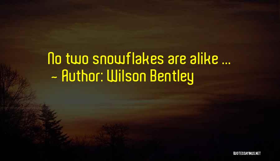 Wilson Bentley Quotes: No Two Snowflakes Are Alike ...