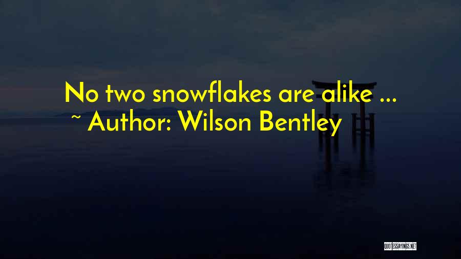 Wilson Bentley Quotes: No Two Snowflakes Are Alike ...