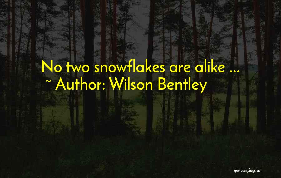 Wilson Bentley Quotes: No Two Snowflakes Are Alike ...