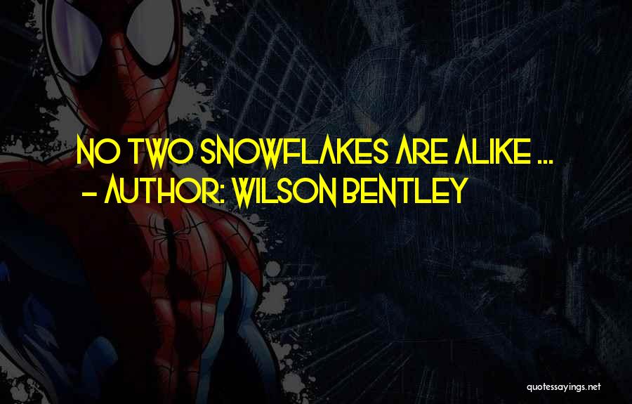 Wilson Bentley Quotes: No Two Snowflakes Are Alike ...