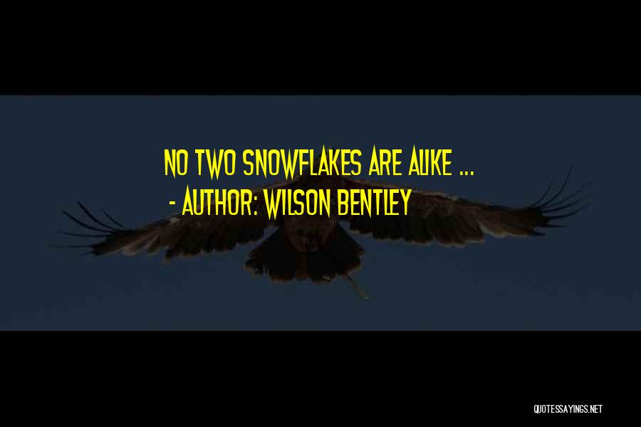 Wilson Bentley Quotes: No Two Snowflakes Are Alike ...