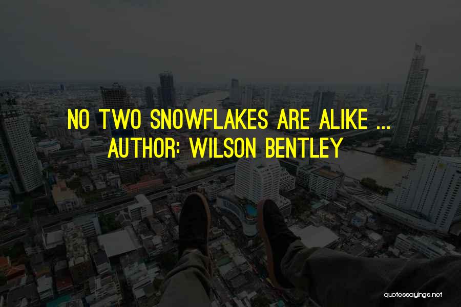 Wilson Bentley Quotes: No Two Snowflakes Are Alike ...