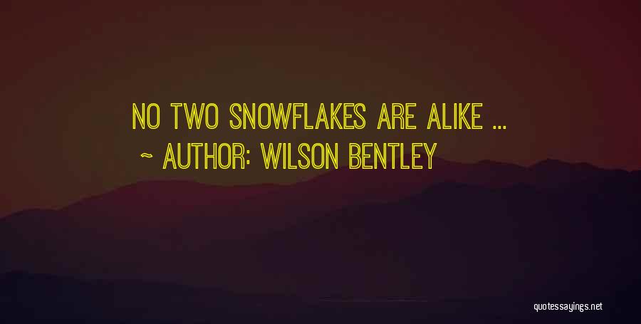 Wilson Bentley Quotes: No Two Snowflakes Are Alike ...