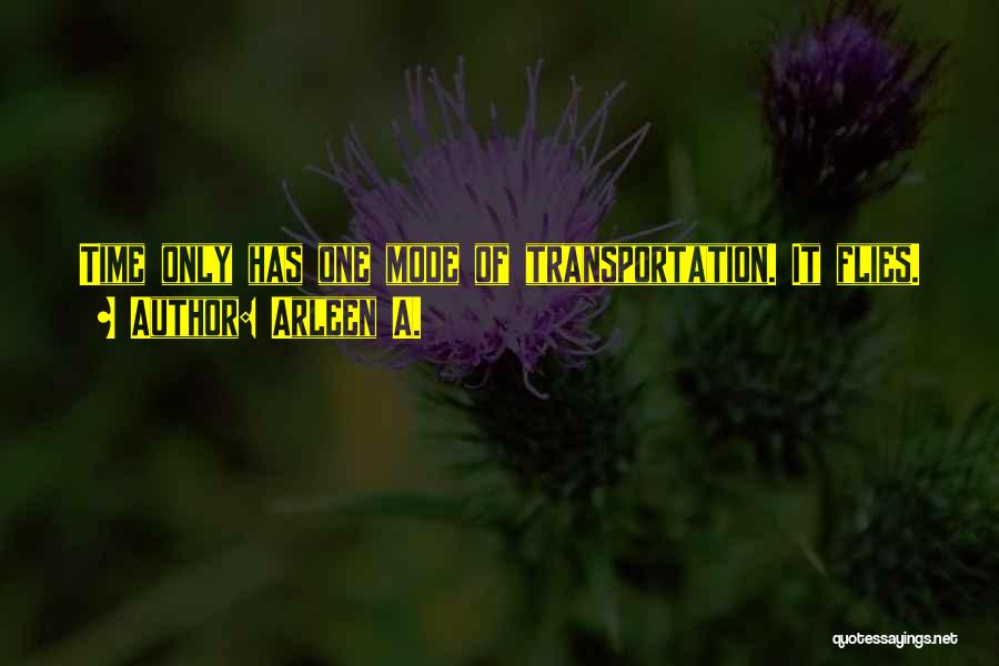Arleen A. Quotes: Time Only Has One Mode Of Transportation. It Flies.
