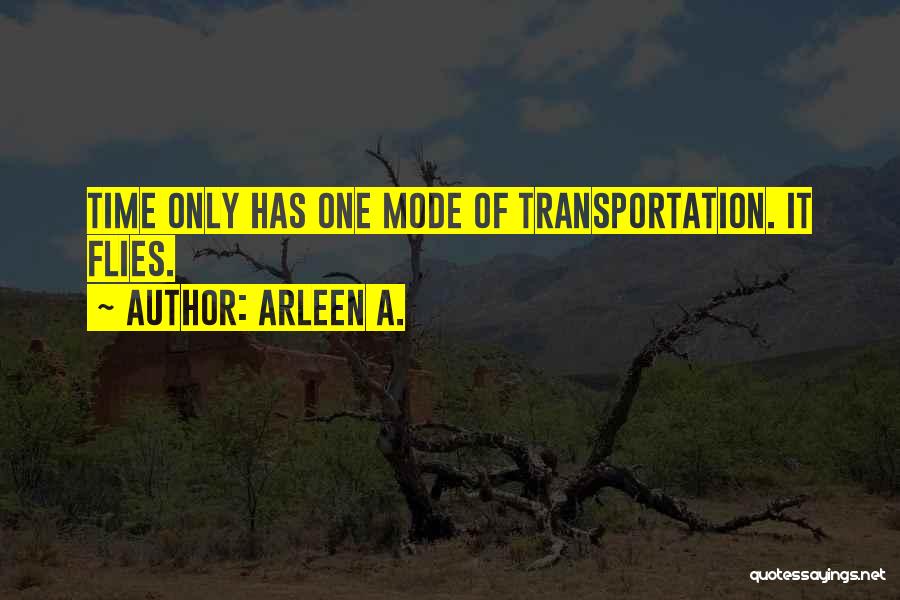 Arleen A. Quotes: Time Only Has One Mode Of Transportation. It Flies.