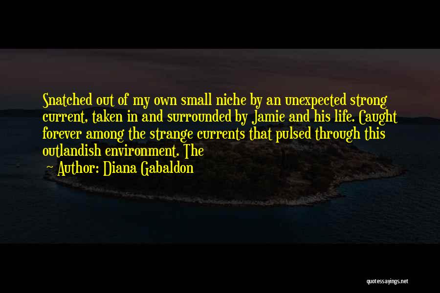 Diana Gabaldon Quotes: Snatched Out Of My Own Small Niche By An Unexpected Strong Current, Taken In And Surrounded By Jamie And His