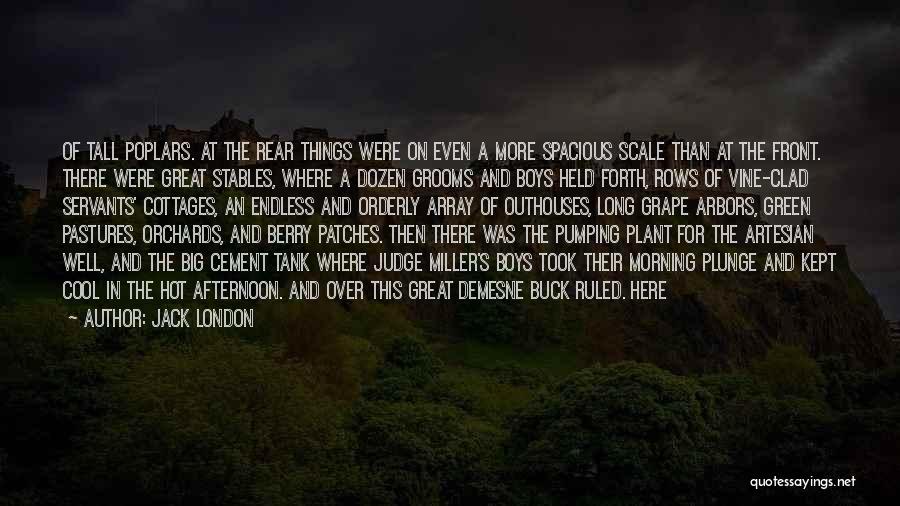 Jack London Quotes: Of Tall Poplars. At The Rear Things Were On Even A More Spacious Scale Than At The Front. There Were