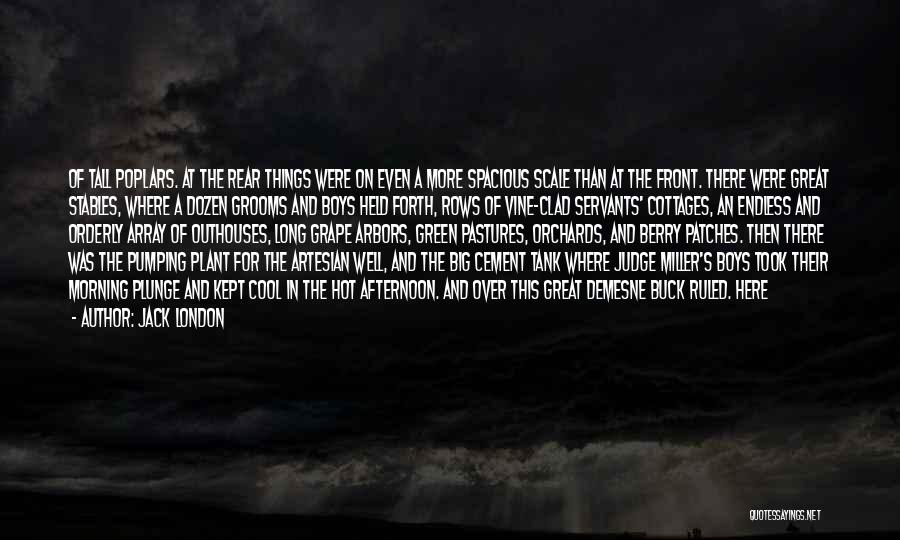 Jack London Quotes: Of Tall Poplars. At The Rear Things Were On Even A More Spacious Scale Than At The Front. There Were