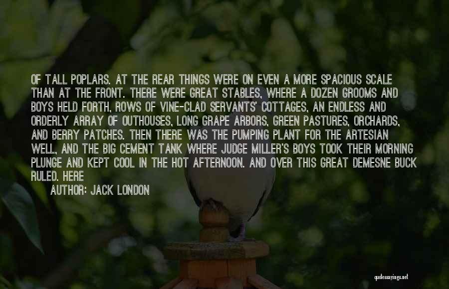 Jack London Quotes: Of Tall Poplars. At The Rear Things Were On Even A More Spacious Scale Than At The Front. There Were