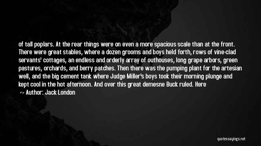 Jack London Quotes: Of Tall Poplars. At The Rear Things Were On Even A More Spacious Scale Than At The Front. There Were