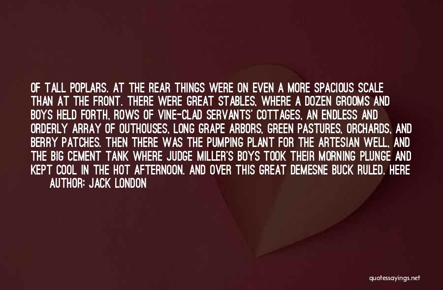 Jack London Quotes: Of Tall Poplars. At The Rear Things Were On Even A More Spacious Scale Than At The Front. There Were