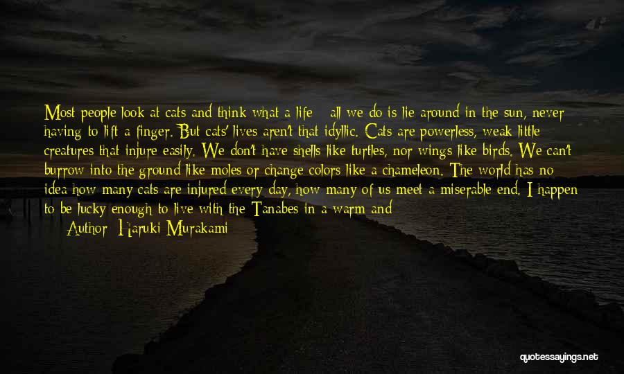 Haruki Murakami Quotes: Most People Look At Cats And Think What A Life - All We Do Is Lie Around In The Sun,