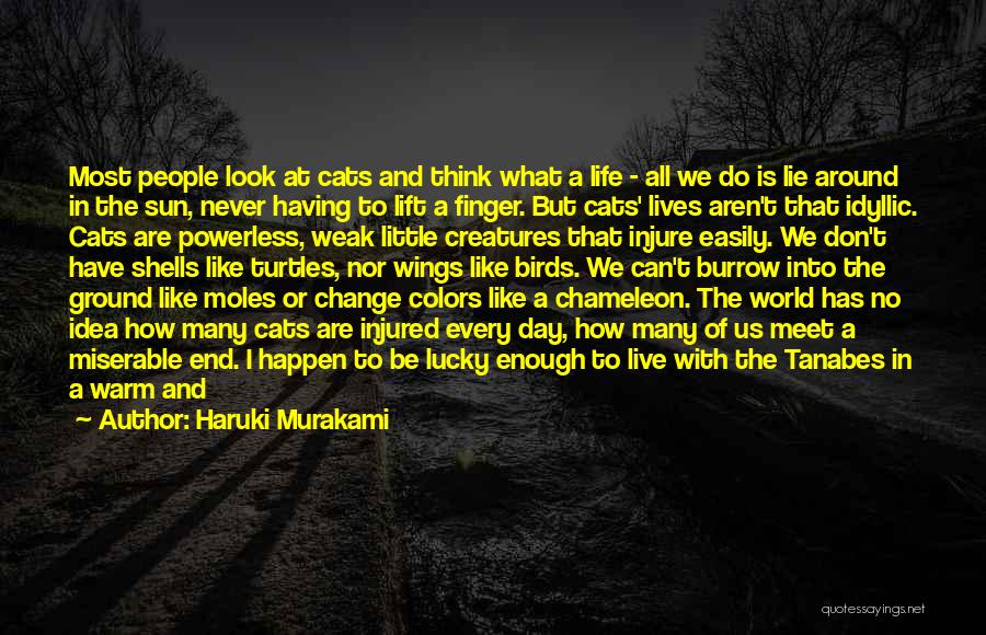 Haruki Murakami Quotes: Most People Look At Cats And Think What A Life - All We Do Is Lie Around In The Sun,