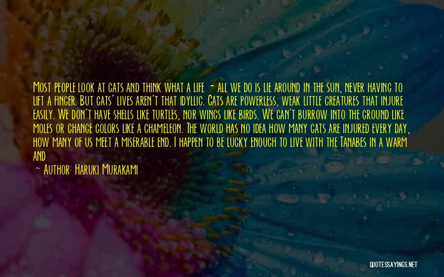 Haruki Murakami Quotes: Most People Look At Cats And Think What A Life - All We Do Is Lie Around In The Sun,