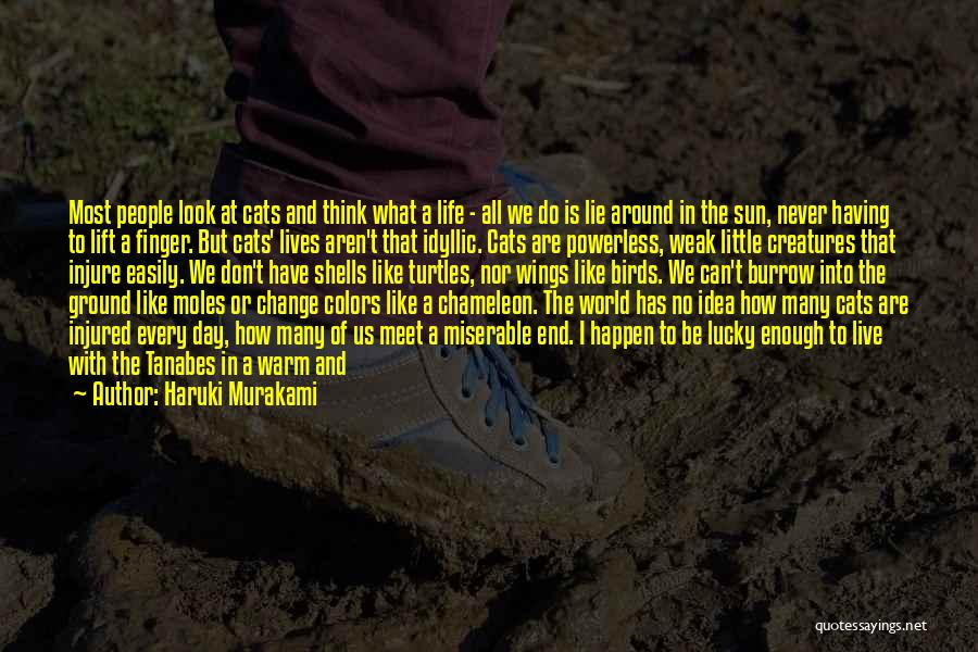 Haruki Murakami Quotes: Most People Look At Cats And Think What A Life - All We Do Is Lie Around In The Sun,