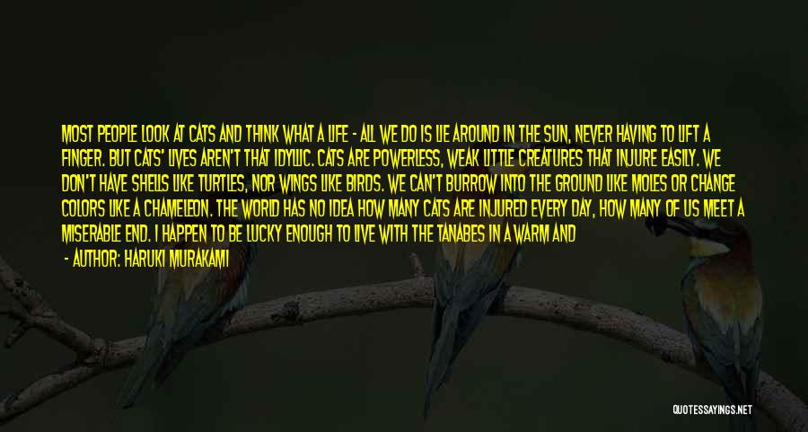 Haruki Murakami Quotes: Most People Look At Cats And Think What A Life - All We Do Is Lie Around In The Sun,