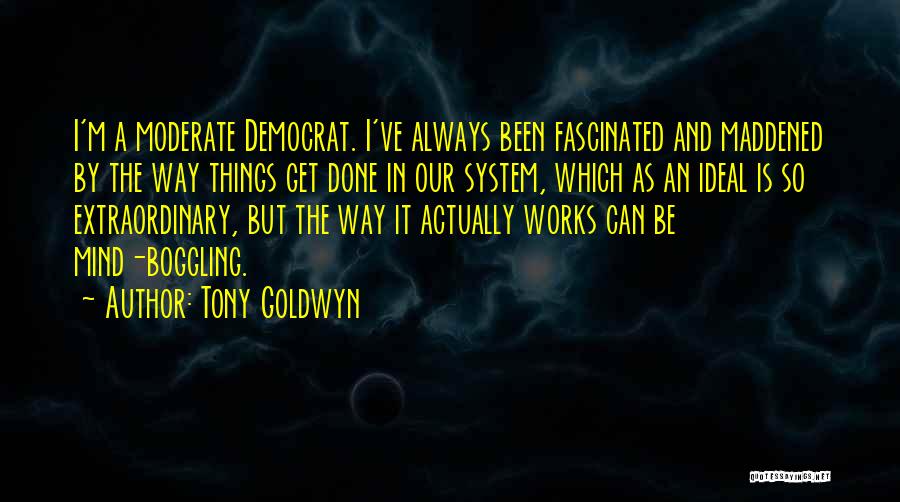 Tony Goldwyn Quotes: I'm A Moderate Democrat. I've Always Been Fascinated And Maddened By The Way Things Get Done In Our System, Which