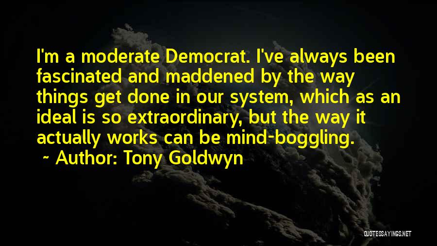 Tony Goldwyn Quotes: I'm A Moderate Democrat. I've Always Been Fascinated And Maddened By The Way Things Get Done In Our System, Which