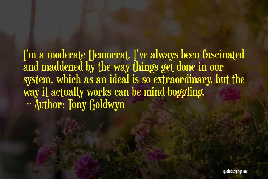 Tony Goldwyn Quotes: I'm A Moderate Democrat. I've Always Been Fascinated And Maddened By The Way Things Get Done In Our System, Which