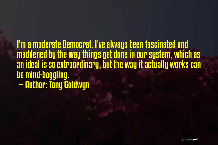 Tony Goldwyn Quotes: I'm A Moderate Democrat. I've Always Been Fascinated And Maddened By The Way Things Get Done In Our System, Which