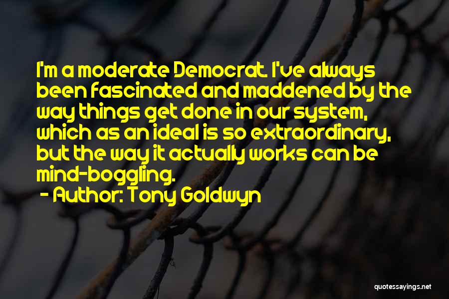Tony Goldwyn Quotes: I'm A Moderate Democrat. I've Always Been Fascinated And Maddened By The Way Things Get Done In Our System, Which