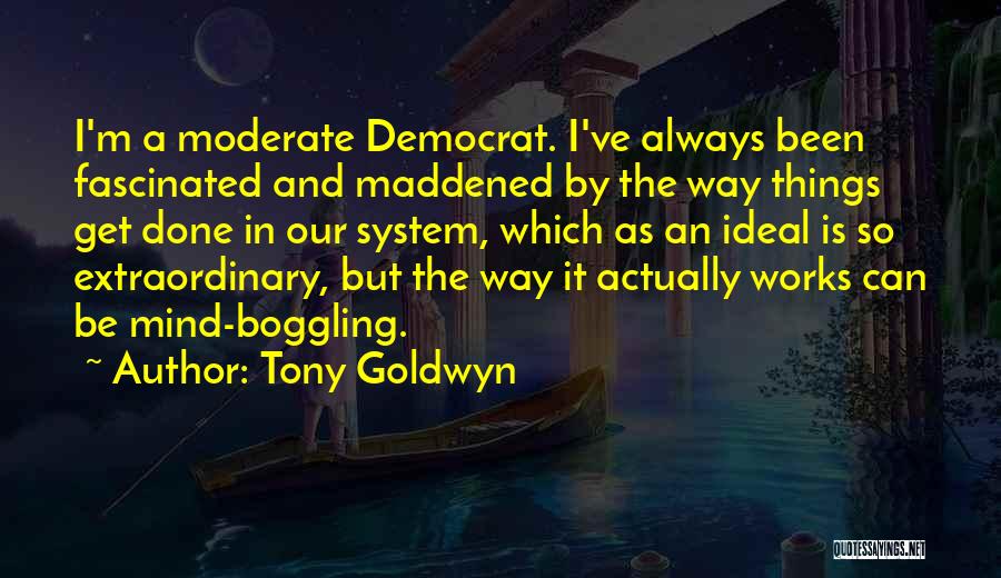 Tony Goldwyn Quotes: I'm A Moderate Democrat. I've Always Been Fascinated And Maddened By The Way Things Get Done In Our System, Which